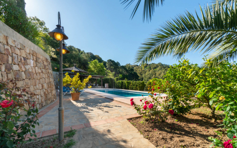 Jardín de la piscina